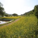 석장리박물관 이미지