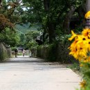 외암마을 생활관 이미지