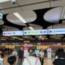 지정24 | 후쿠오카 아기랑 여행 준비: 진에어 24개월미만 교통약자석 좌석지정