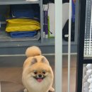 제이앤제이그루밍 이미지