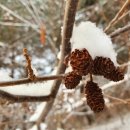 설악산자연학교 이미지