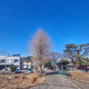 월천2리마을회관 이미지