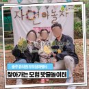 목행초교 병설유치원 이미지