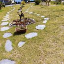 이모민박 이미지