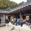 곡교천 은행나무길 이미지