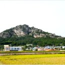 진도군내중학교 이미지
