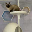 동물보육원 김포지부 이미지