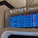 나로비치호텔 | 김홍푹금은방-포즈앤엔조이-포서울스파-카페인-골든로터스그랜드호텔-선짜야시장- 키아수스파-용다리불쇼 )