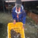 독도바다낚시터 이미지