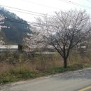 백양2리 이미지