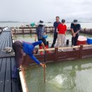 경상남도 수산안전기술원 이미지