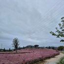 엠티브이20로 이미지