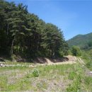 소나무황토집 이미지