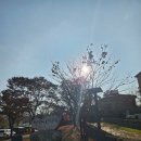 박경리 토지길 | 원주 박경리문학공원 산책 후, 감성 가득한 카페 서희 방문기