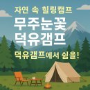 대가참맛 | 6시 내고향 무주 카페 캠핑 체험 무주눈꽃덕유캠프