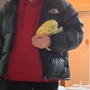 아이비중기 | 헬게이트 였던 임신 초기 증상 [ 입덧, 아기집,난황 보이는 시기,1차 정밀초음파 ]