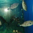 화진포해양박물관 이미지