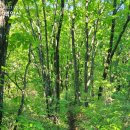 조령산장 이미지