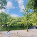 파주 산머루농원 캠핑장으로 예쁜추억만들러