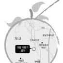 나무가람 Daum카페