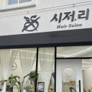 시저리서신