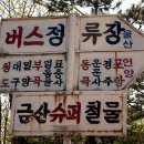 유천버스정류장 이미지