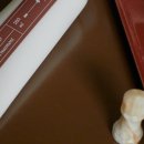 워시나인 이미지