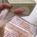 대전 사는 언니의 감동 선물! 대전 성심당 빵 추천 (순수마들렌 & 보문산 메아리 솔직 후기)