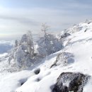2015년 한라산 눈꽃 산행 ... 이미지