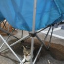 김토닭 | 야간 드라이브 성지 김토닭 다녀온 후기