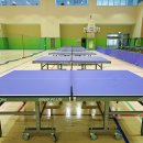 어린이 탁구(초등) 이미지
