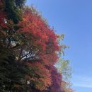 우면산 | 우면산 등산 코스 후기+더차돌 방문기｜과천 당일치기 추천 루트