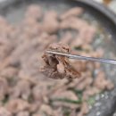 수림첫집