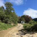 반곡유원지 | 이제 가을이니 가볼까나... 홍천 반곡 밤벌유원지 차박 후기.