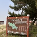 이일레민박 이미지