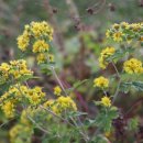 왕곡별천지 펜션 이미지