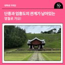 중부-을지-중부-231 | 단종과 엄흥도의 애틋한 관계가 남아있는 영월로 가요!