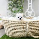 일산병원 정류장 이미지