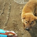 삼서초등학교 이미지