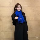 아크네스튜디오신세계 | 아크네스튜디오 머플러 로얄 블루 수지 사복 목도리 가격 후기