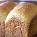 절대 우습게 보면 안되는 놈 - 통밀식빵 이미지