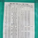 영천공용버스터미널 이미지