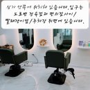 빨래쟁이 | 수택동 미용실 SONG hair room 가격 후기