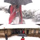 불타는청춘