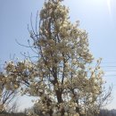 배미농장 이미지