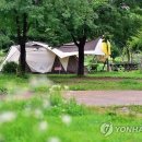야놀자캠핑장