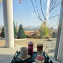 가락대로가락동 | 낙동강 뷰 부산강서구대형카페 애견동반 가능 카페보다 후기