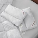 비건이지 이미지