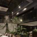 카페하린 이미지