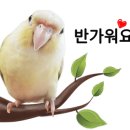 인포젠 이미지
